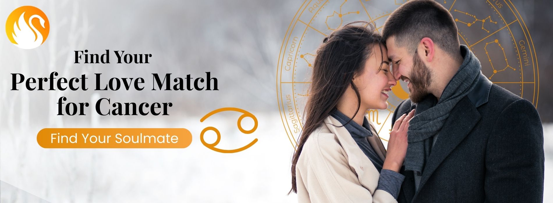 Cancer Compatibility Midpage Image