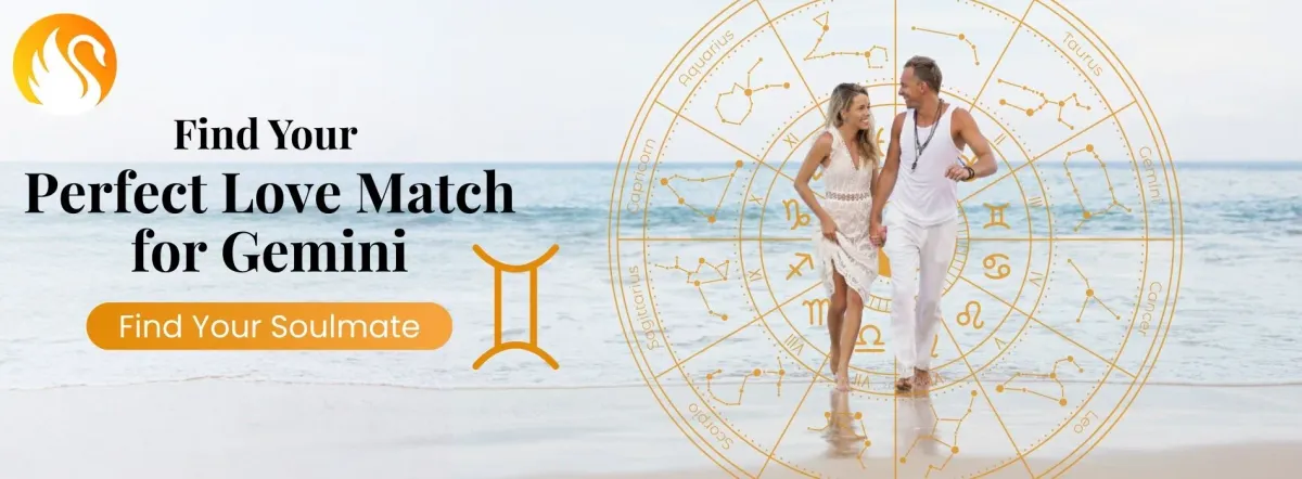 Gemini Compatibility Midpage Image